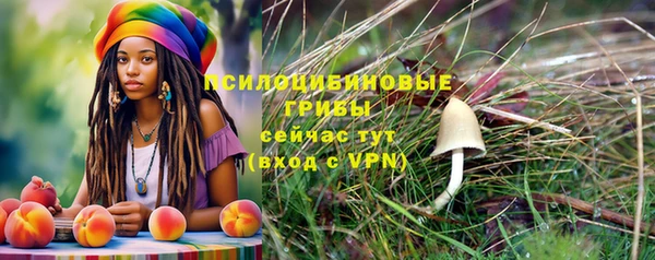 ALPHA PVP Аркадак