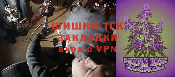 тгк Арсеньев