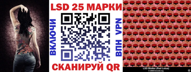 магазин Багратионовск shop состав Марки N-bome 1,8мг
